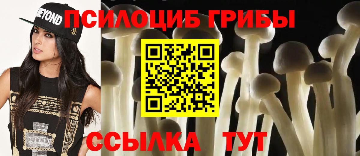 Мценск  Галлюциногенные грибы Psilocybe  Псилоцибиновые грибы Psilocybine cubensis  Вход с VPN 